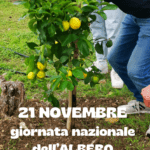 GIORNATA NAZIONALE DELL’ALBERO – SCUOLA SECONDARIA DI PRIMO GRADO